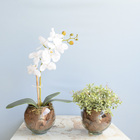 Arranjo Orquídea Artificial Branca No Vaso De Vidro P |flores